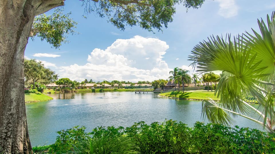 Lake view