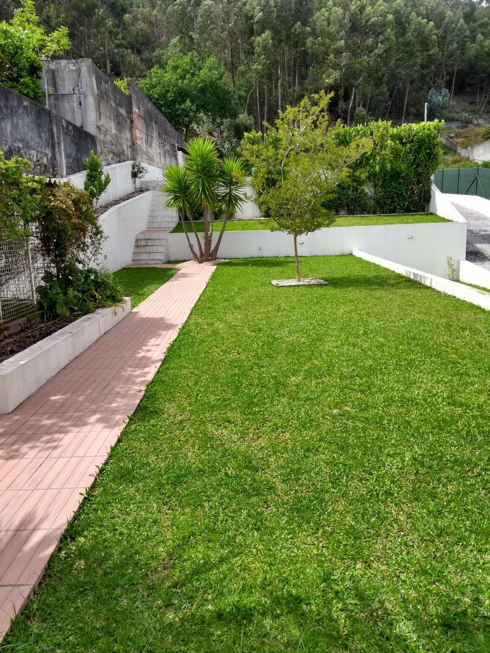 Garden, Swimming pool, Swimming pool