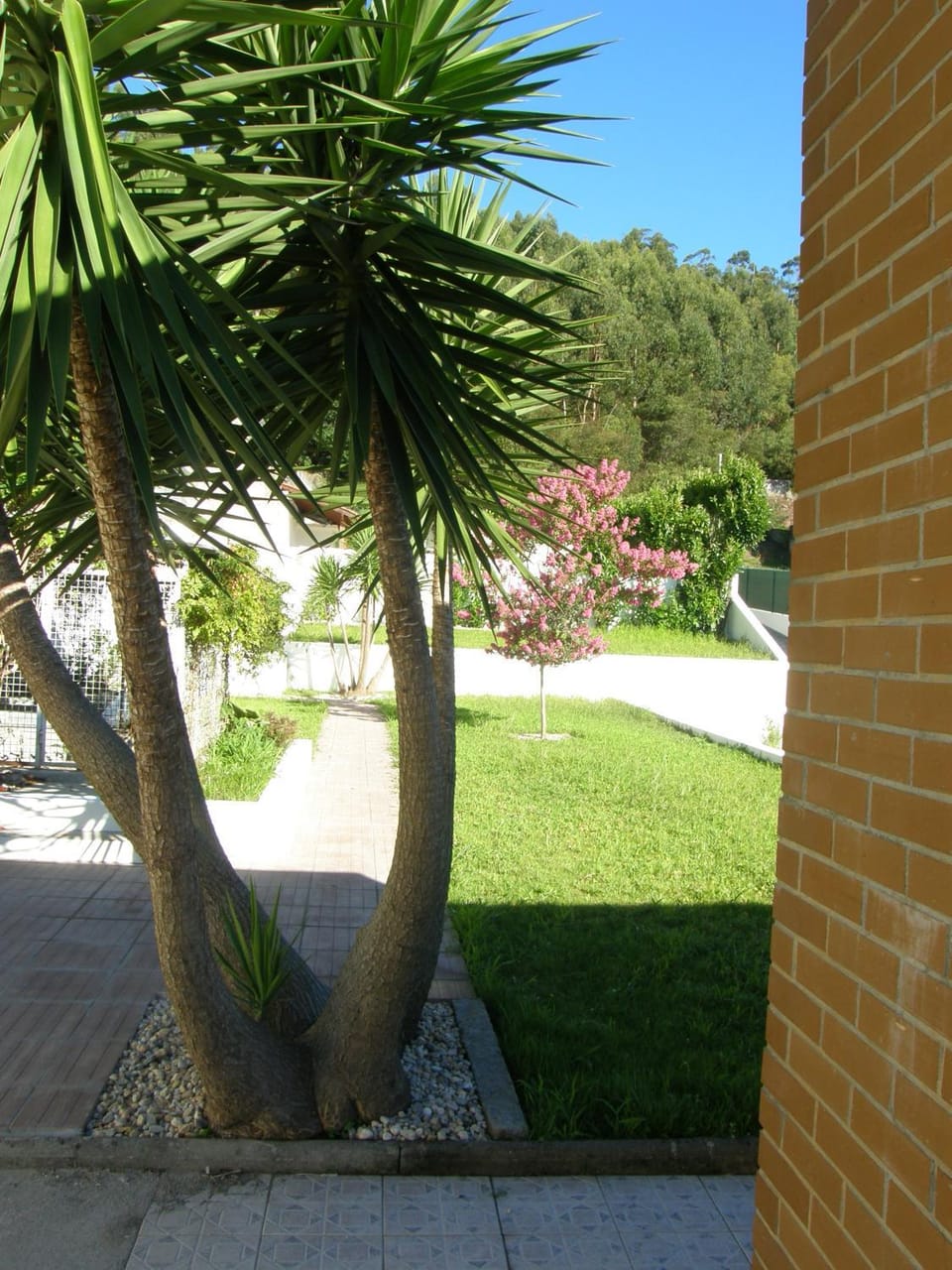 Garden, Garden view
