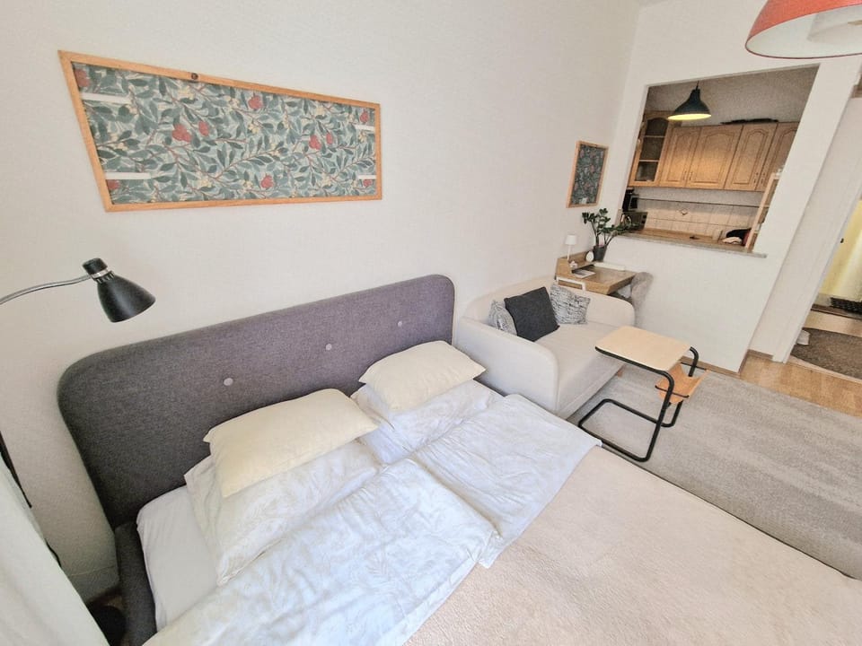 Bed, Living room, Photo of the whole room, Seating area