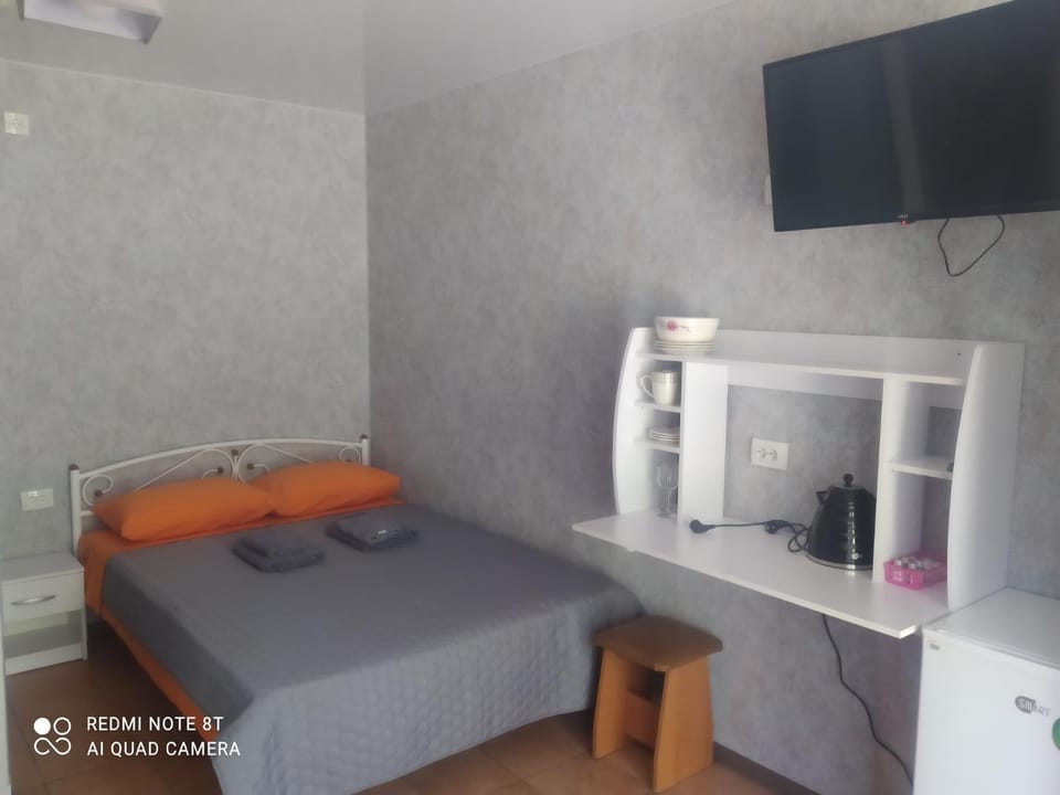 Bed, TV and multimedia, Photo of the whole room, hair dresser, air conditioner
