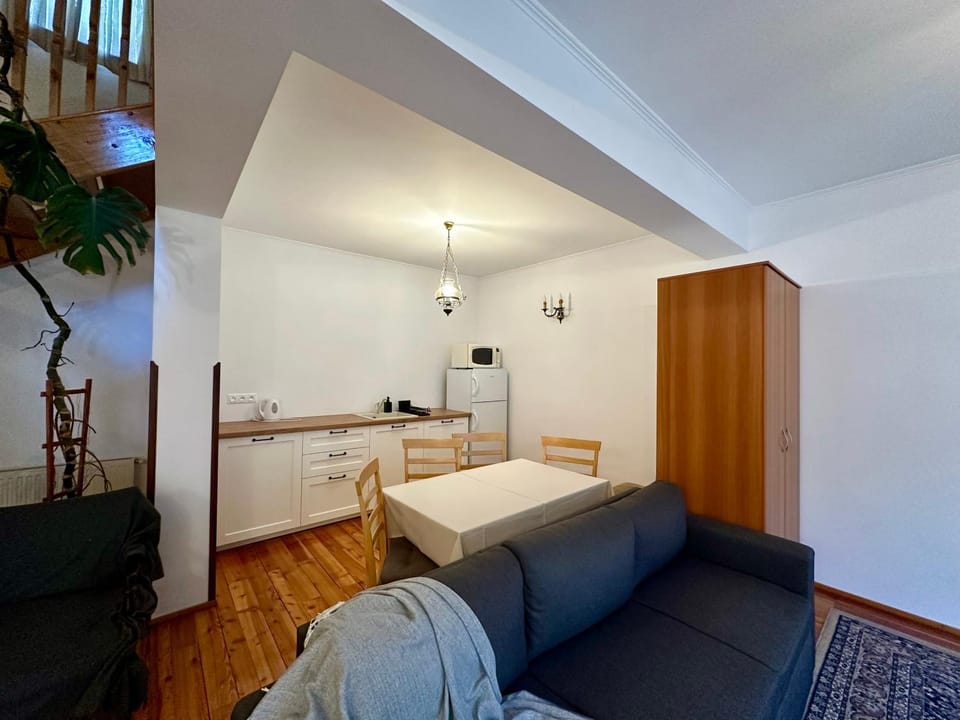 Casa Edelweiss Apartment in Sinaia