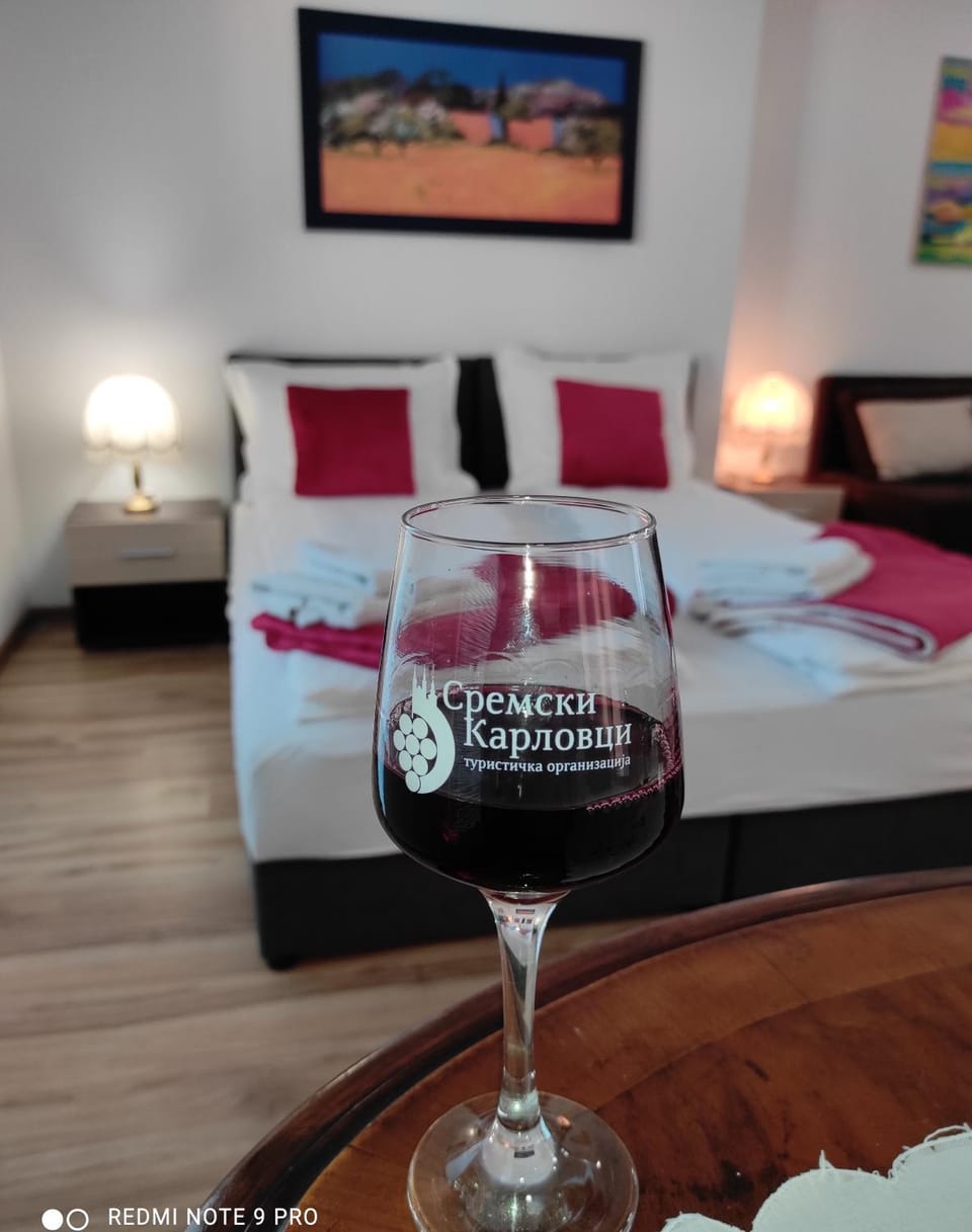 Apartman Centar Apartment in Novi Sad