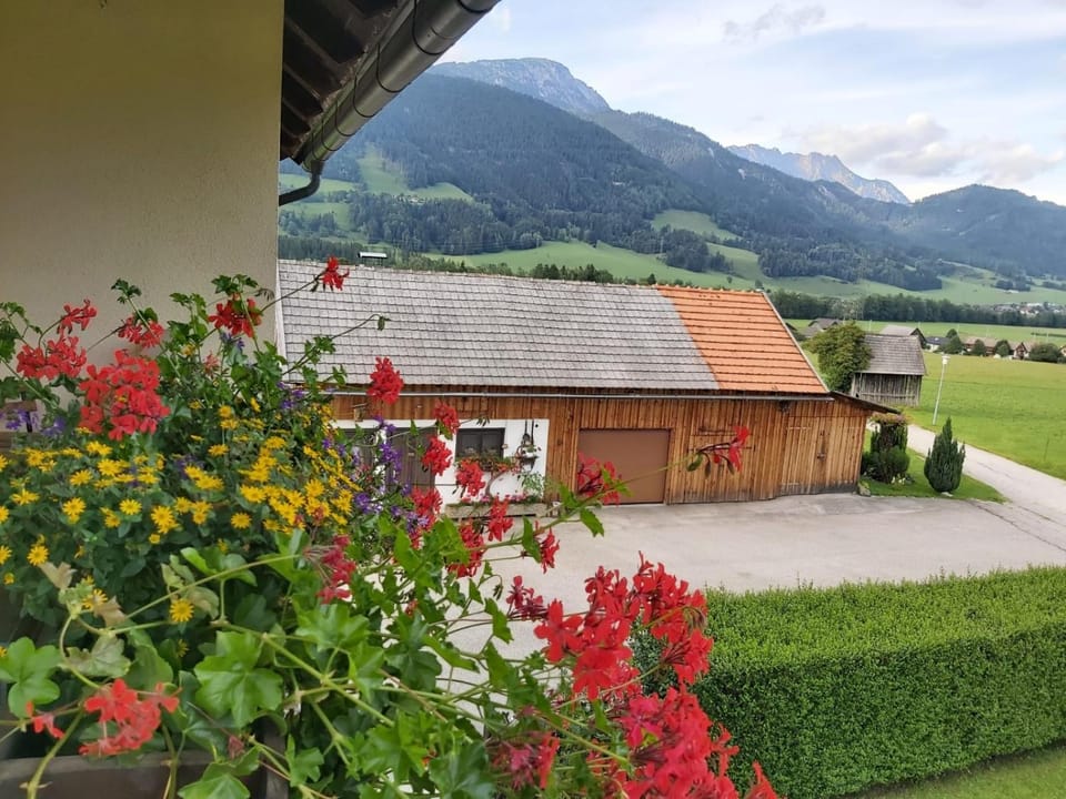 Appartment LuKi Apartment in Schladming