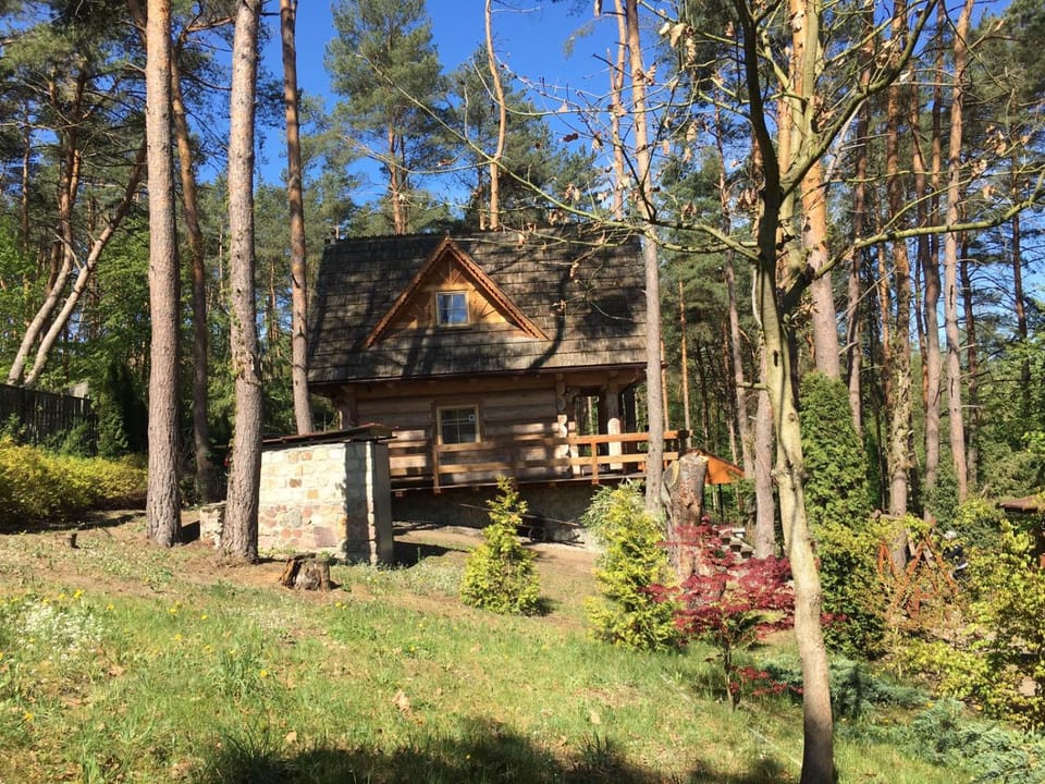 Domek z bali Tryszczyn nad Brdą Nature lodge in Greater Poland Voivodeship