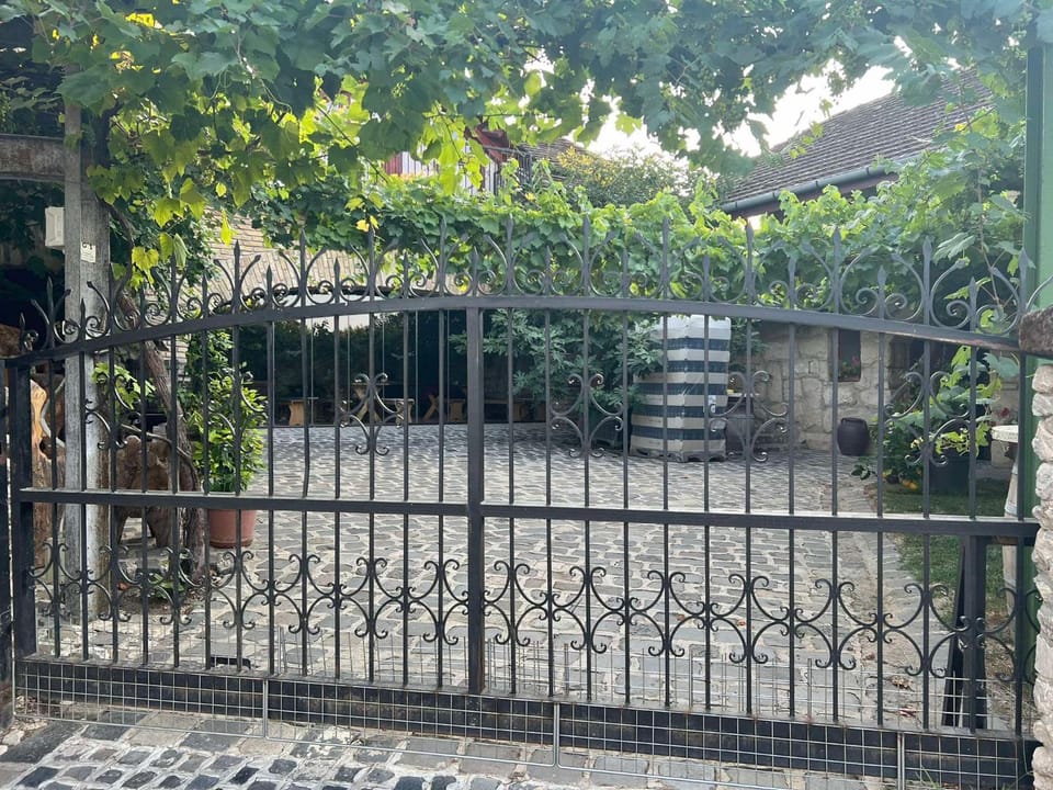 Buzál-Mórocza Pincészet és Szálláshely Bed and Breakfast in Hungary