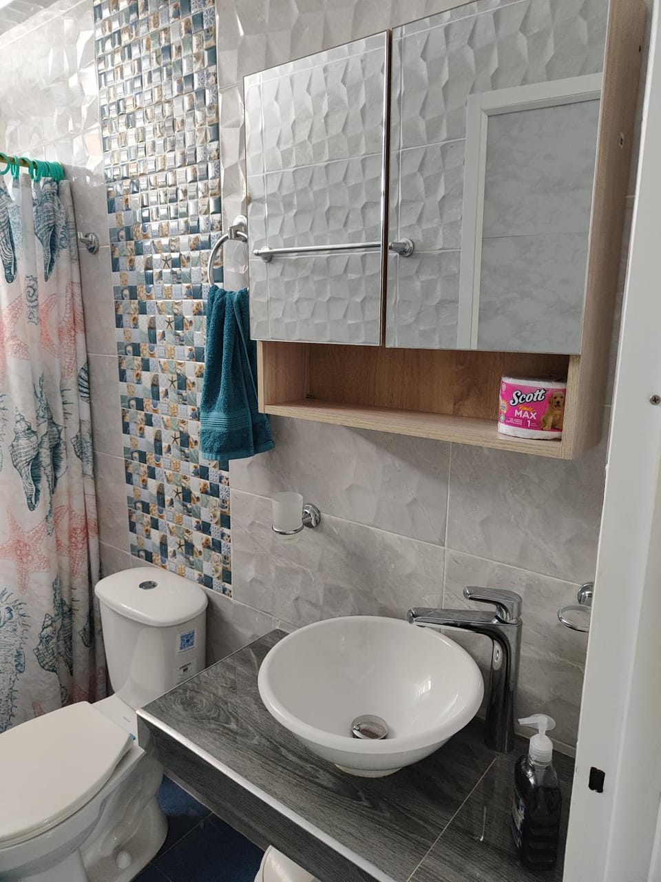 Toilet, Bathroom