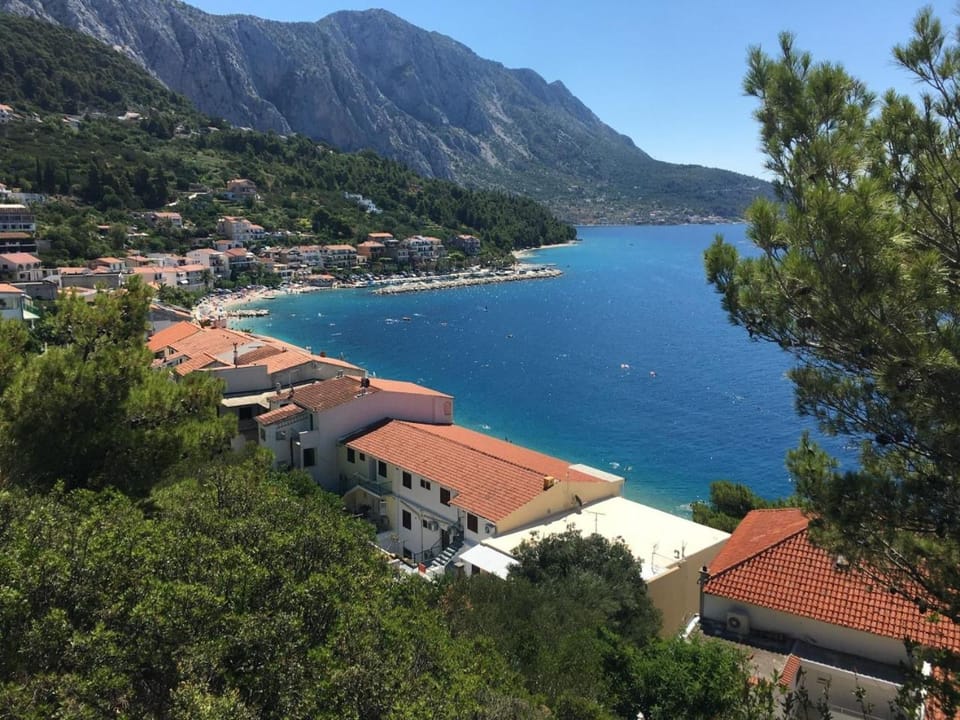 Bird's eye view, Sea view