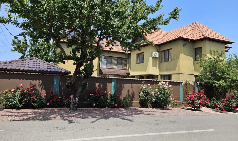 Property building, Garden view