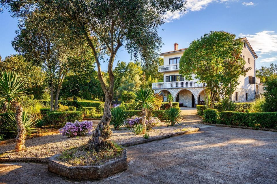 Day, Garden, Garden view