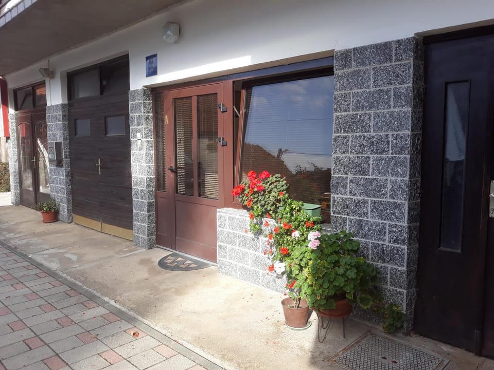 Apartmani Kristanic Apartment in Slovenia