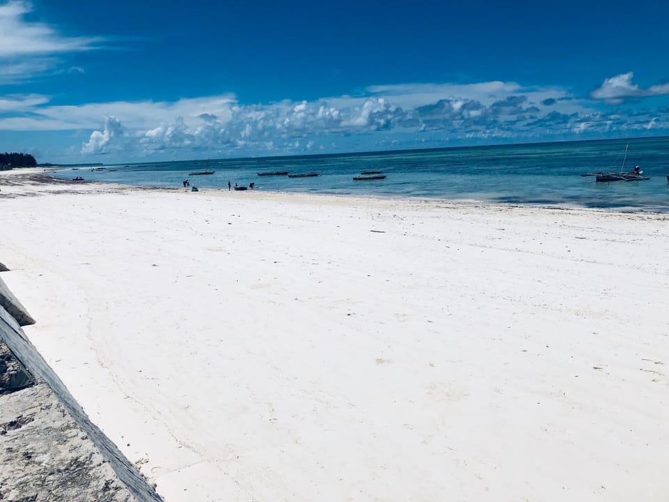 Asali Beach House House in Tanzania