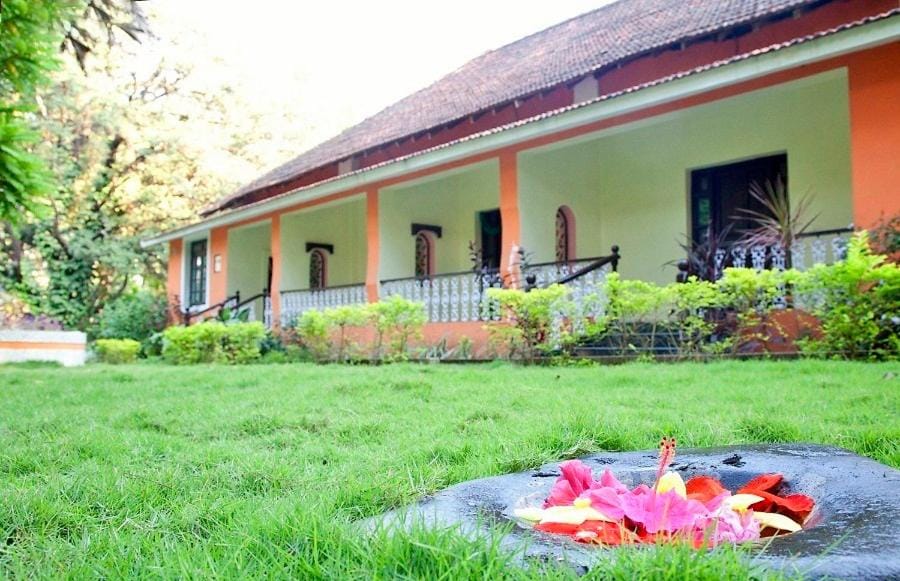Property building, Garden view