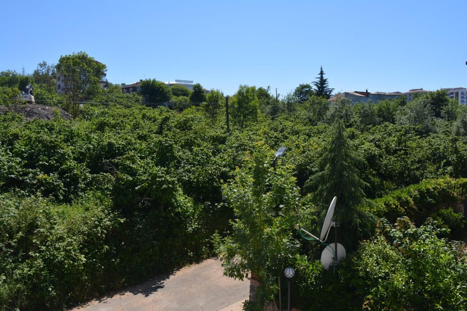 Natural landscape, Hiking, Garden view