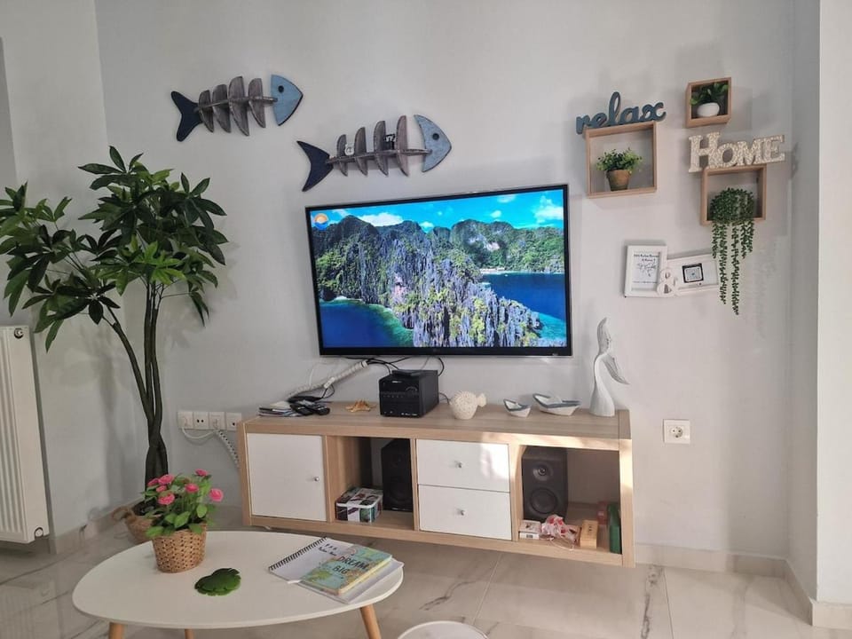 TV and multimedia