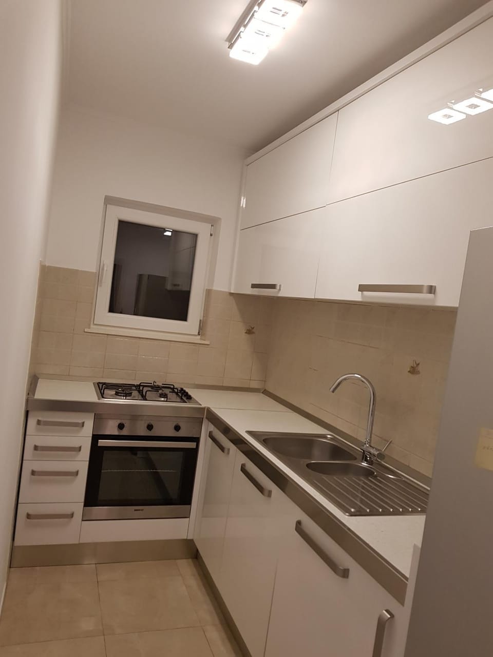 Kitchen or kitchenette, dishwasher, minibar, pet friendly, stove