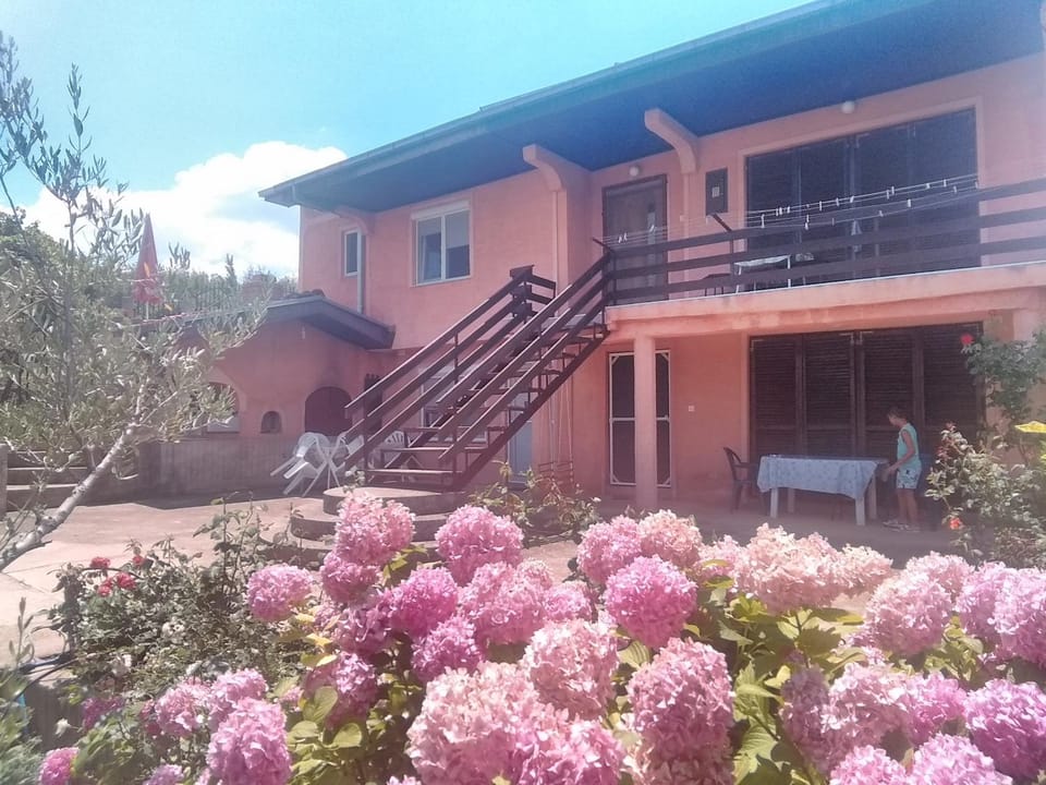 Property building, Spring, Day, Garden, View (from property/room), Balcony/Terrace, Garden view