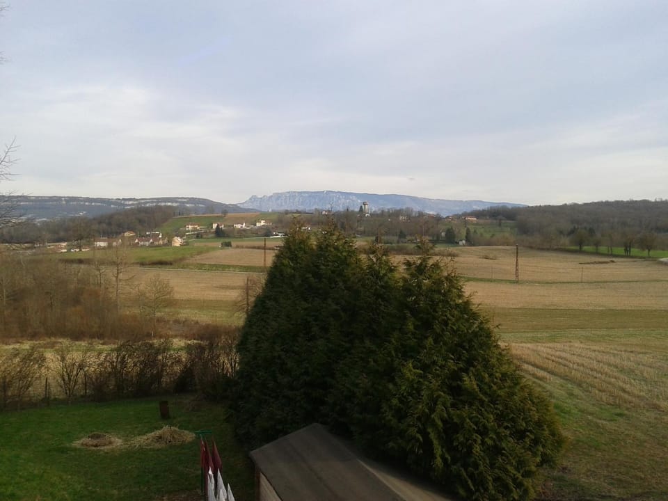 Natural landscape, Garden