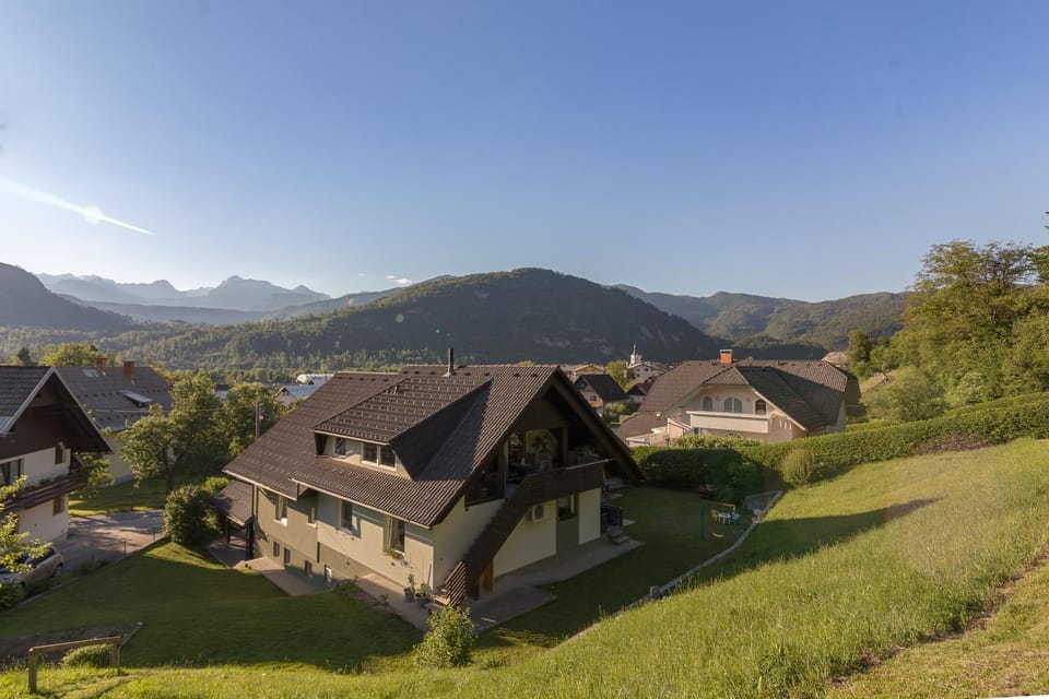 Neighbourhood, Bird's eye view, Garden, Mountain view