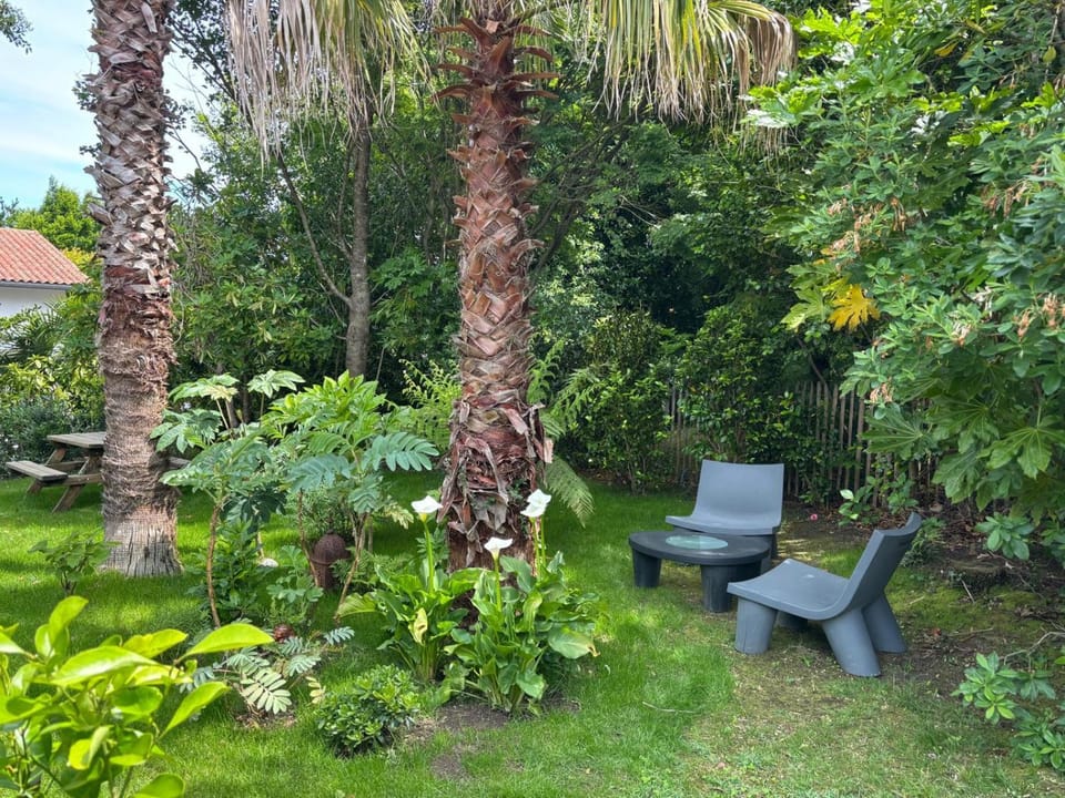 Natural landscape, Garden, Garden view