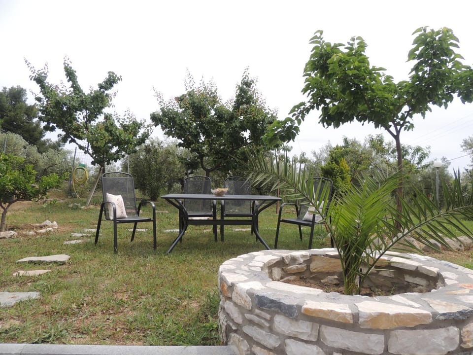 Garden, Garden, Dining area, Garden view