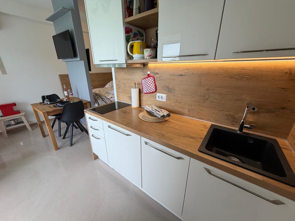 Studio Claudia Apartment in Opatija