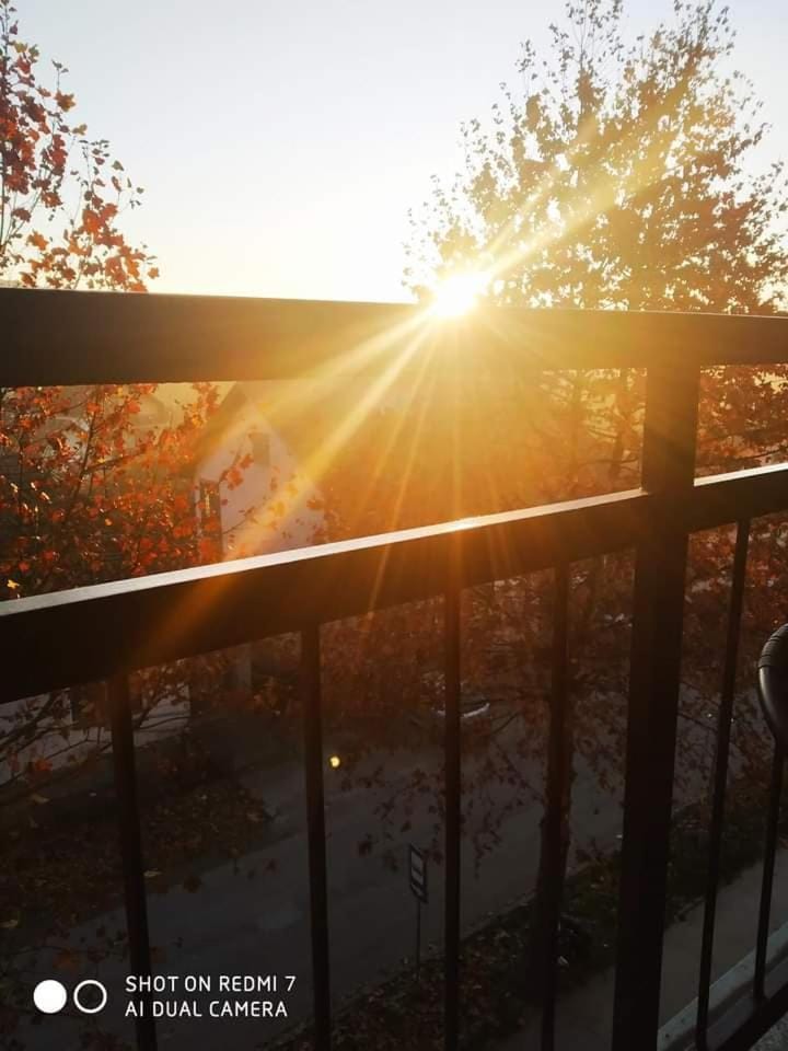 Apartman Ivan Apartment in Vojvodina