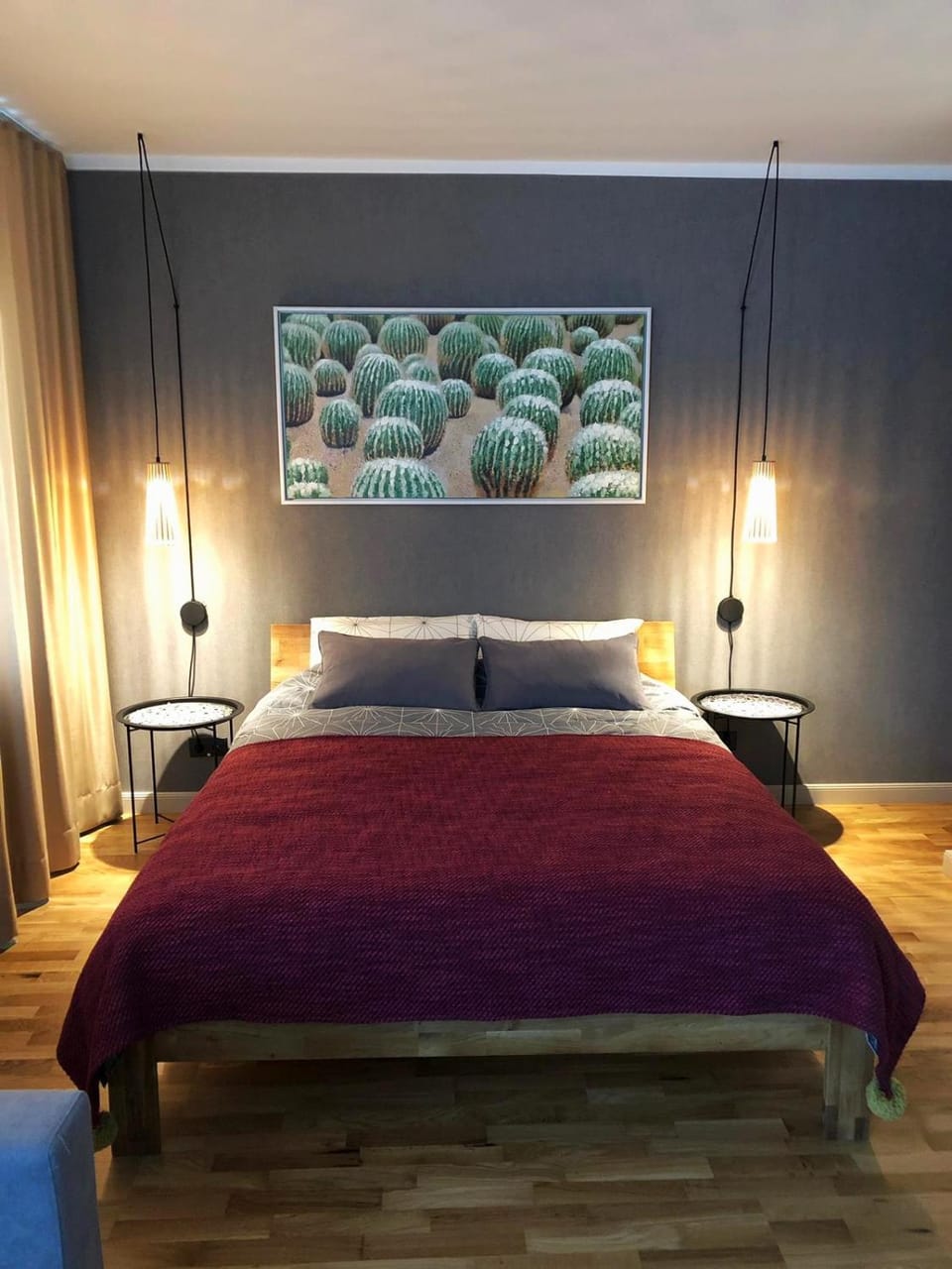 Kaktuss apartamenti Smiltene Apartment in Latvia
