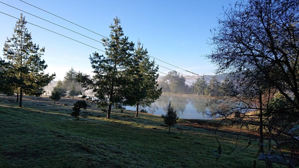 Natural landscape