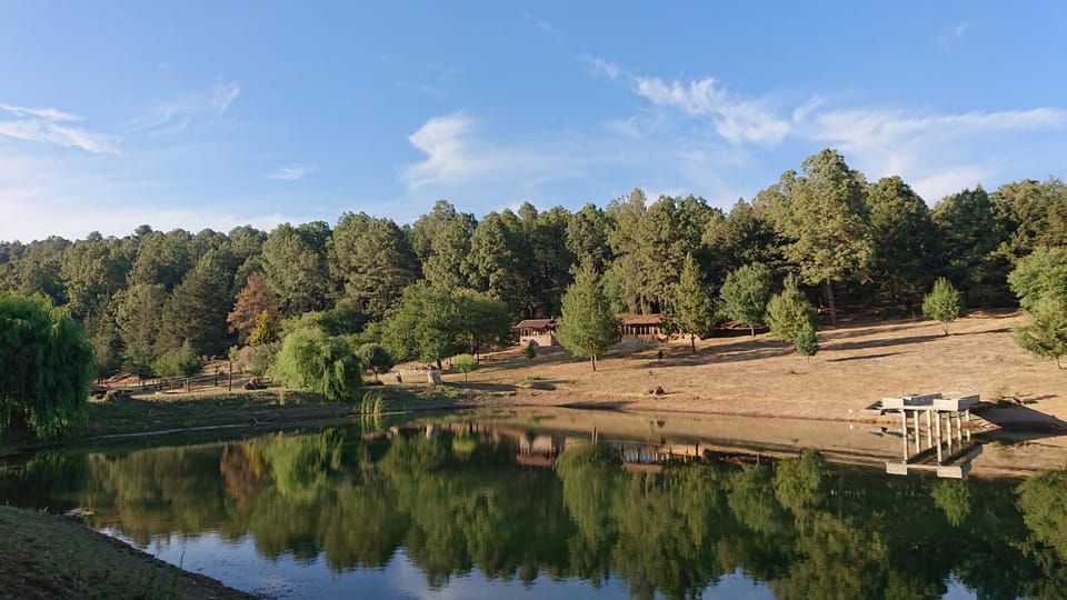 Natural landscape
