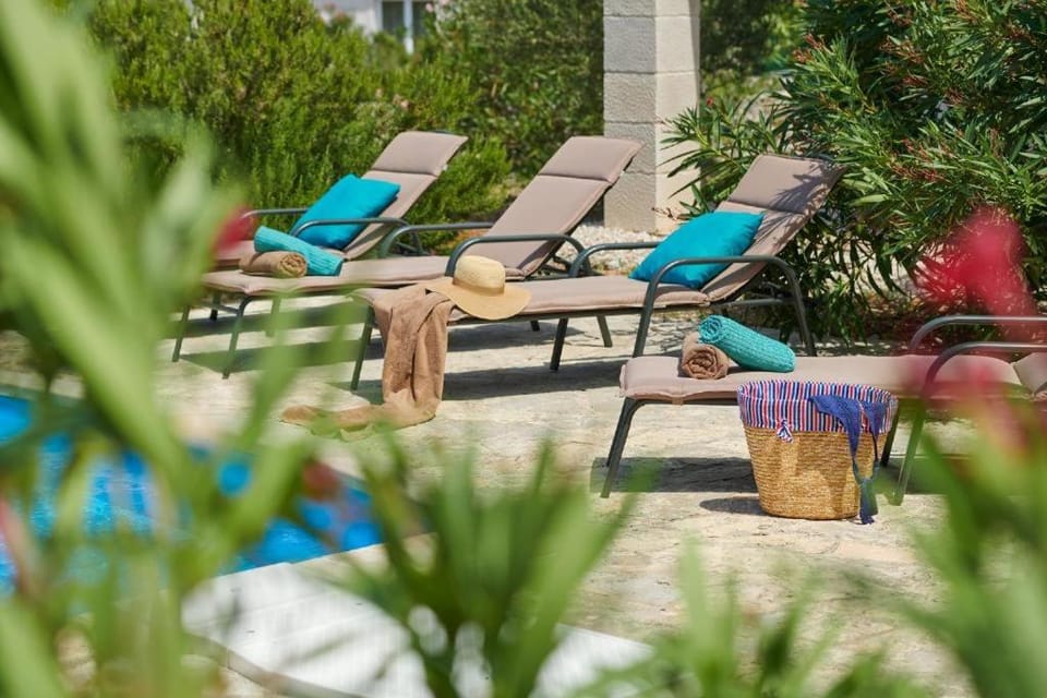Garden, Garden view, sunbed