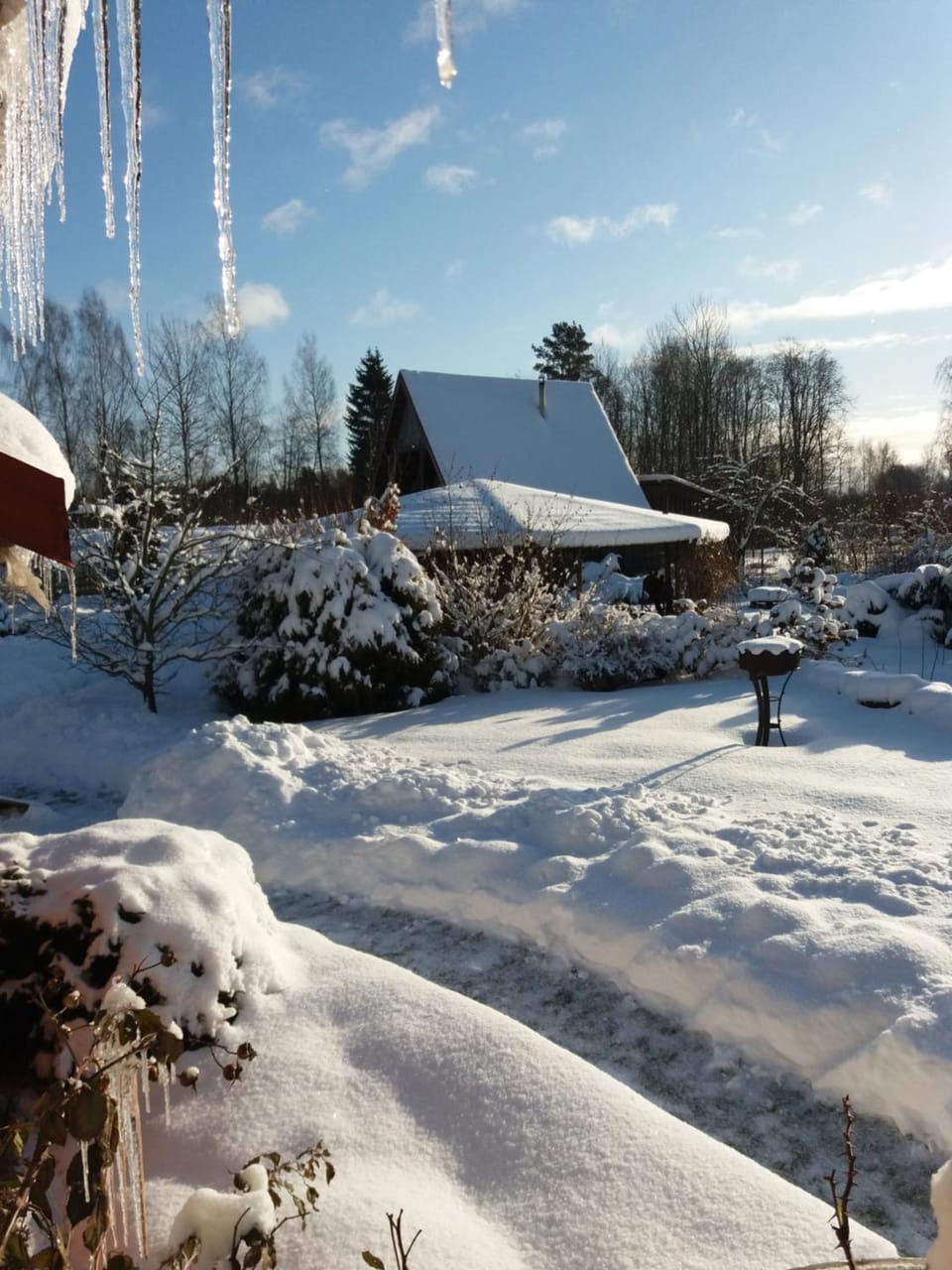 Winter