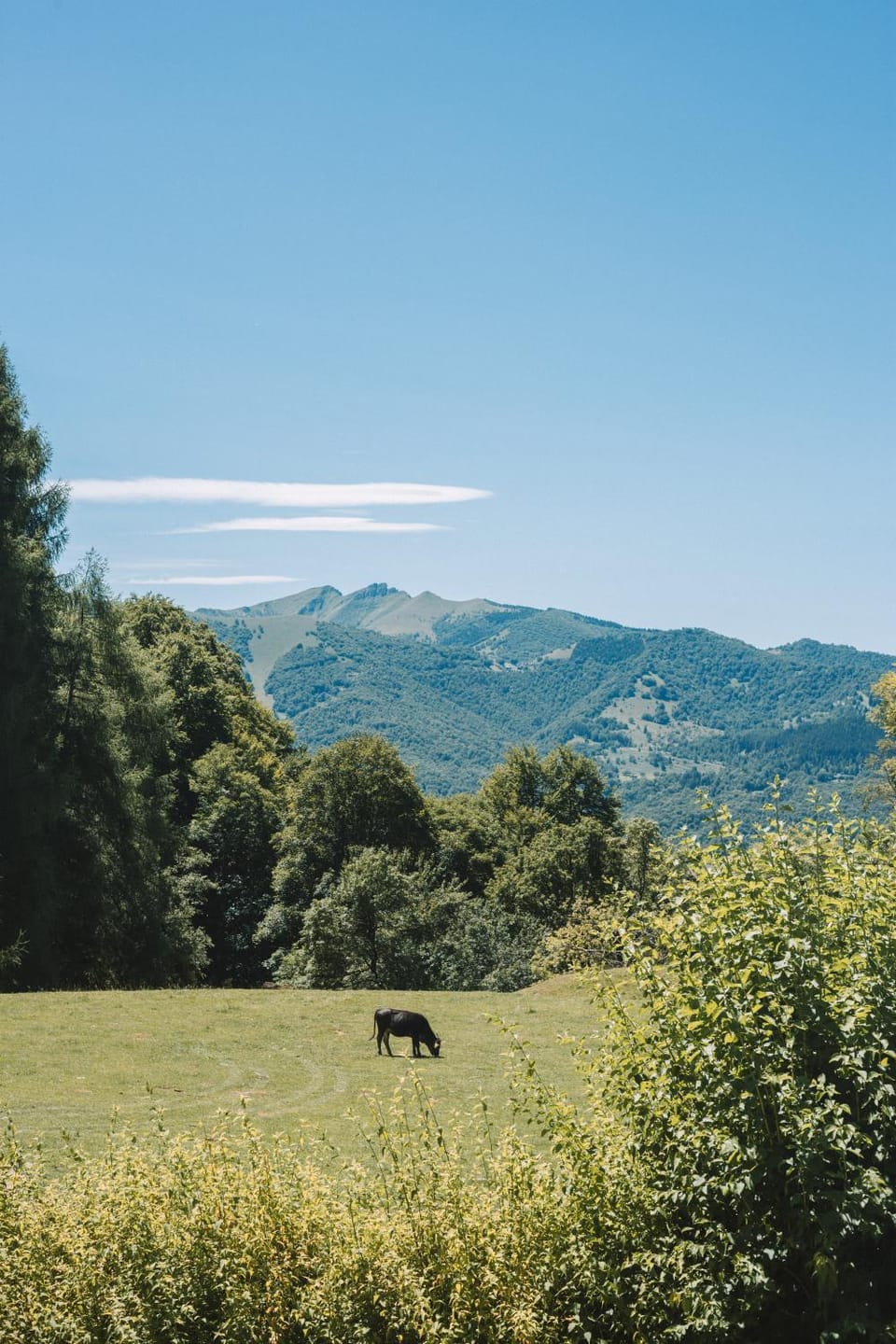 Day, Natural landscape, Mountain view