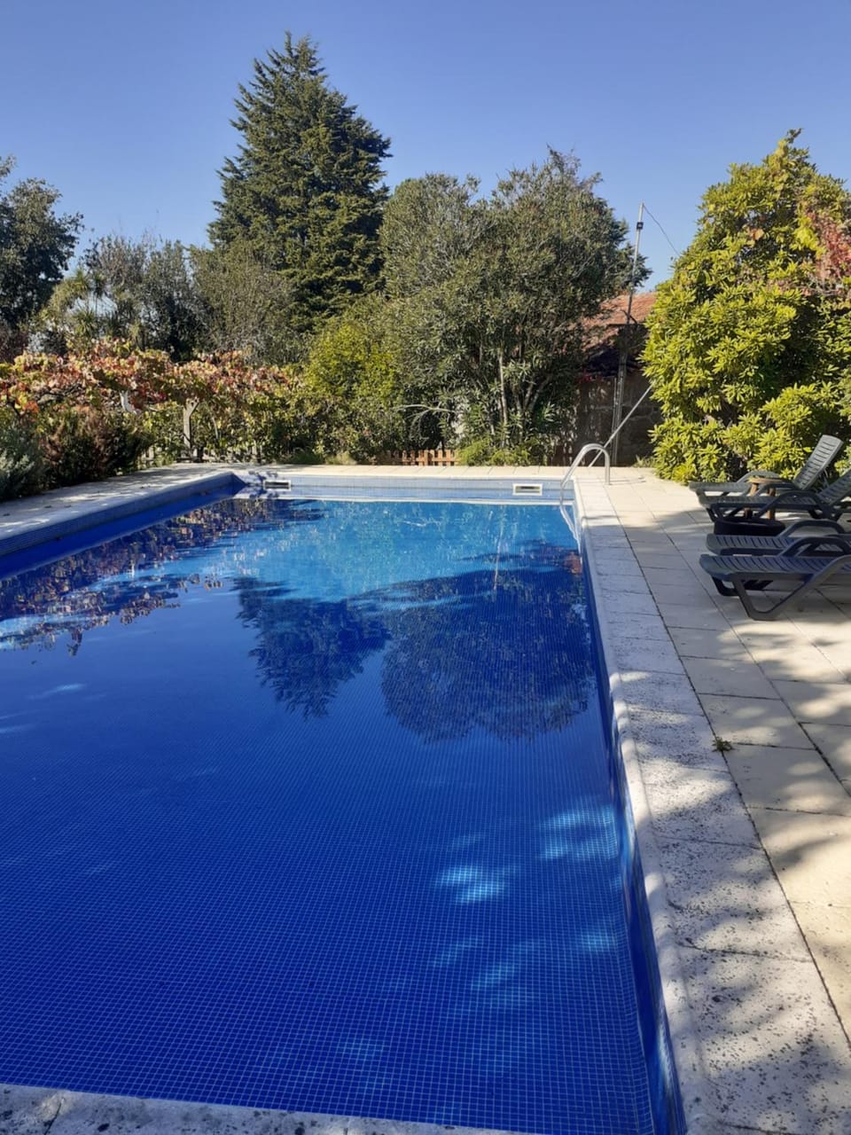 Quinta do Castro Wood House Chalet in Porto District
