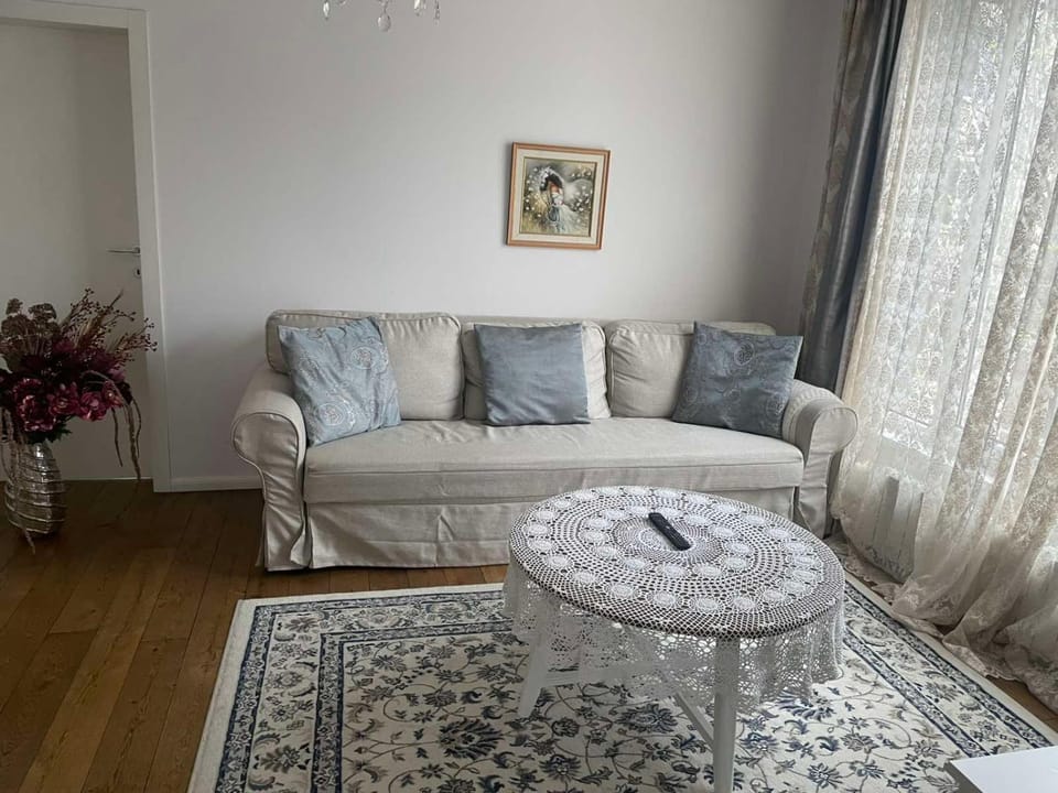 Library, Living room, Seating area
