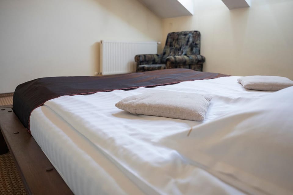 Pensiunea Diva Bed and Breakfast in Romania