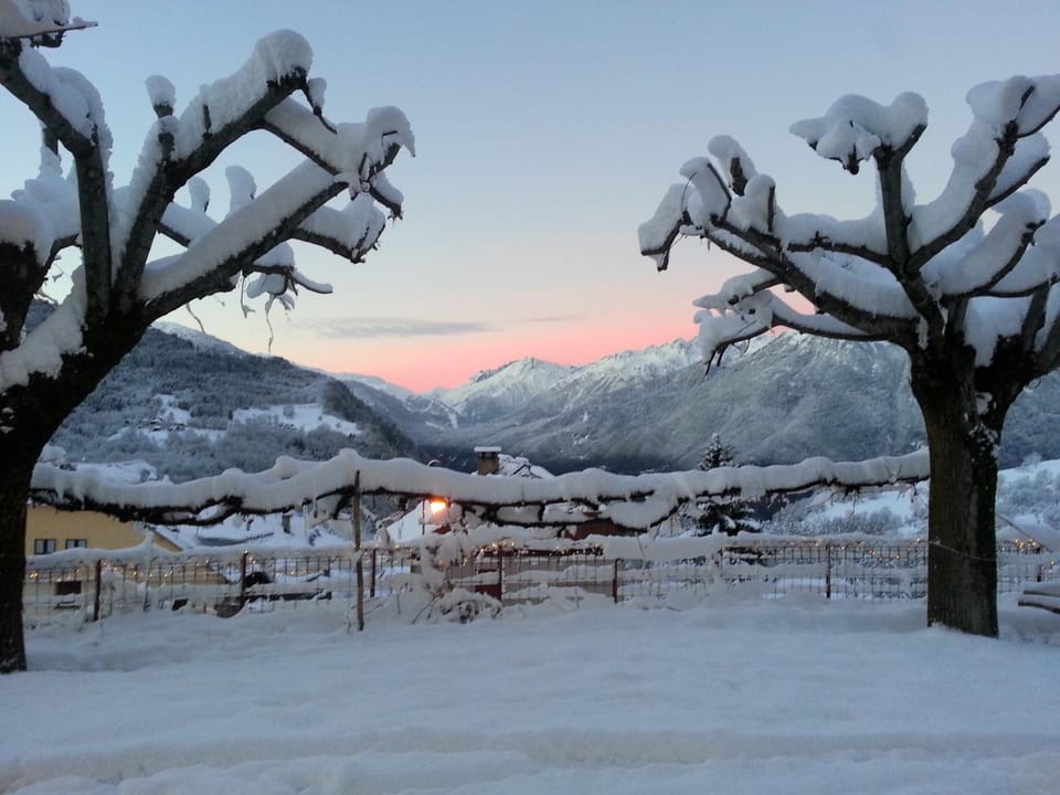 Winter, View (from property/room)