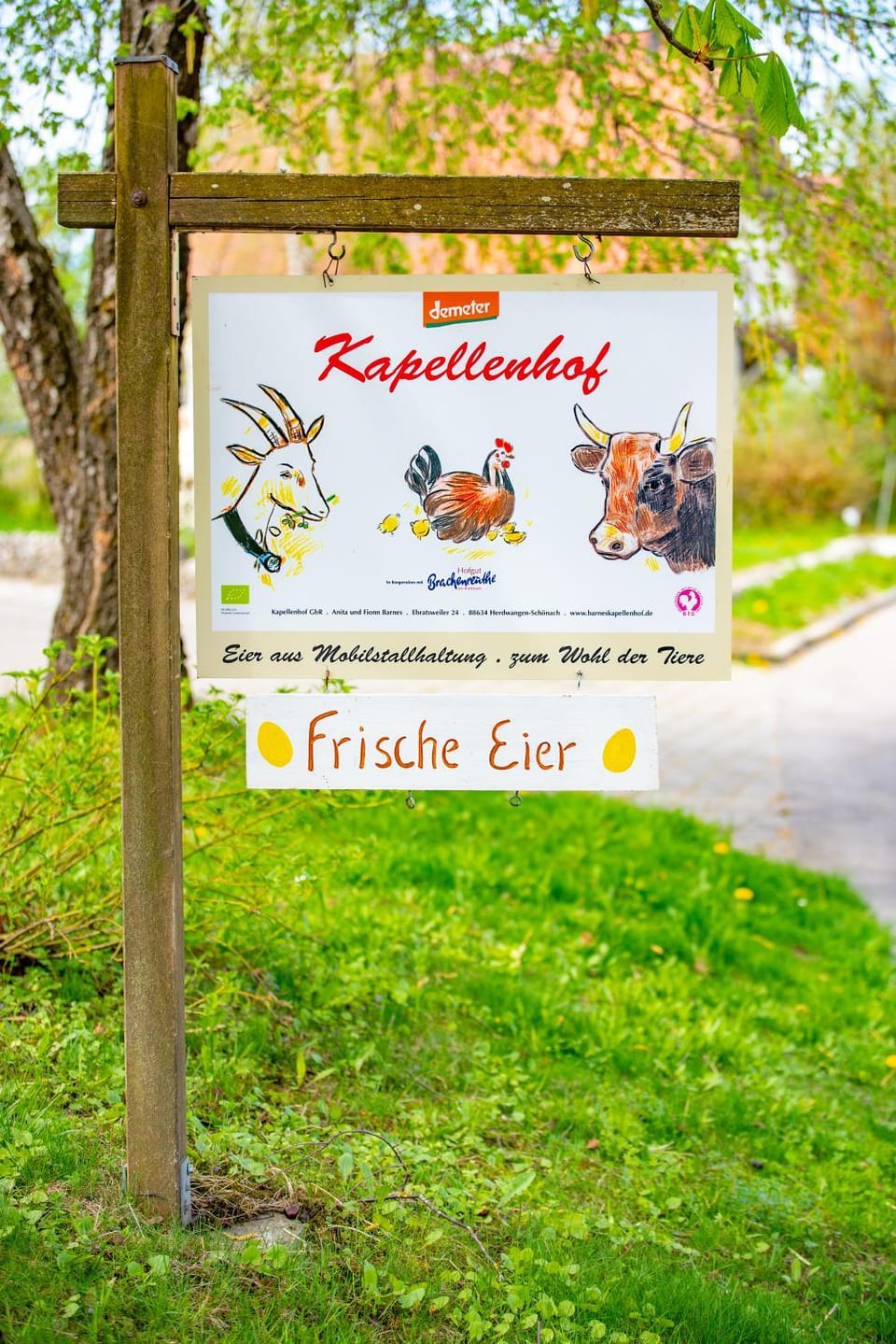 Logo/Certificate/Sign