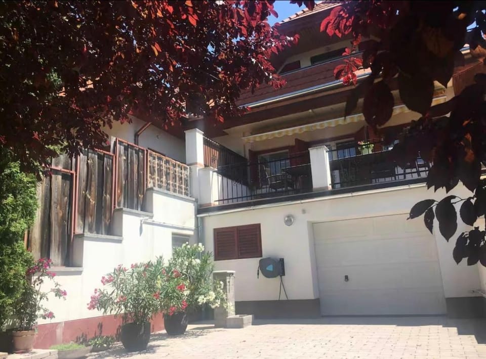 Villa Anita House in Hungary