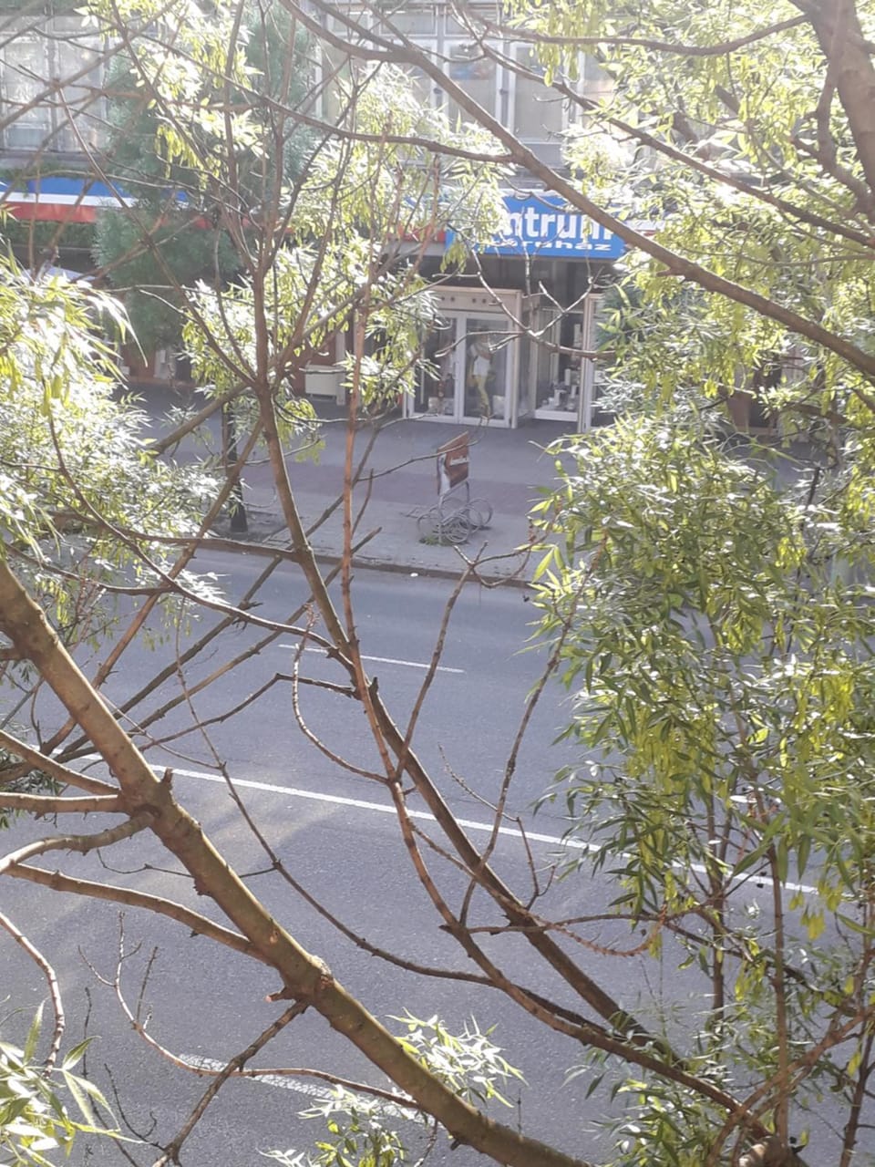 View (from property/room)