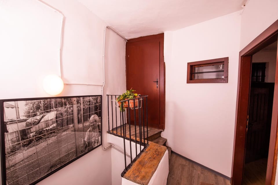 Dežnik Hostel in Ljubljana