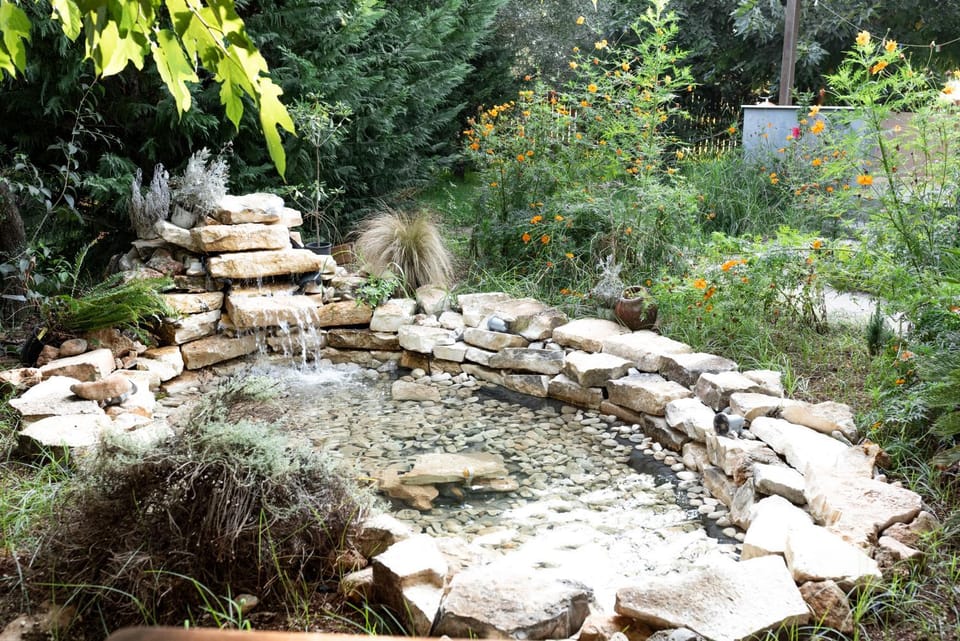 Spring, Day, Garden, Garden view