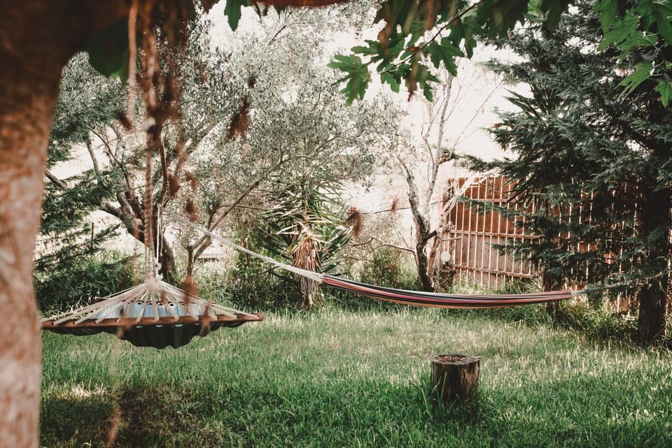 Spring, Day, Natural landscape, Garden, Garden view