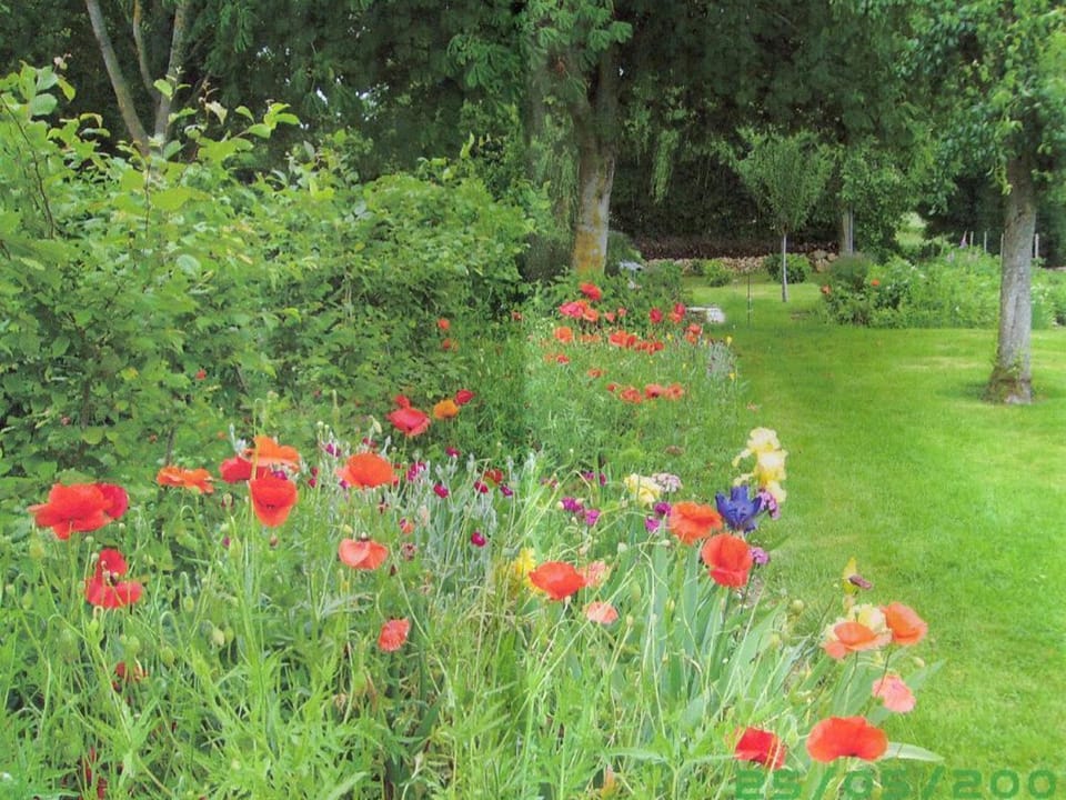 Gîte Normand Idéal Familles et Amis, Jardin et Animaux Acceptés - FR-1-497-38 House in Normandy