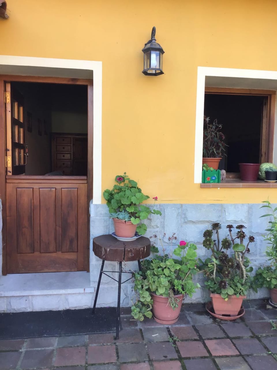 Camangu-Estudio Apartment in Asturias