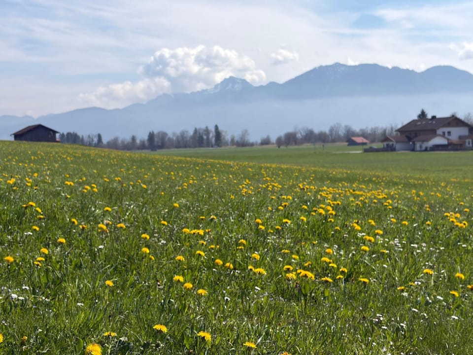 Studio mit Alpenblick und privaten Terrasse Apartment in Kochel