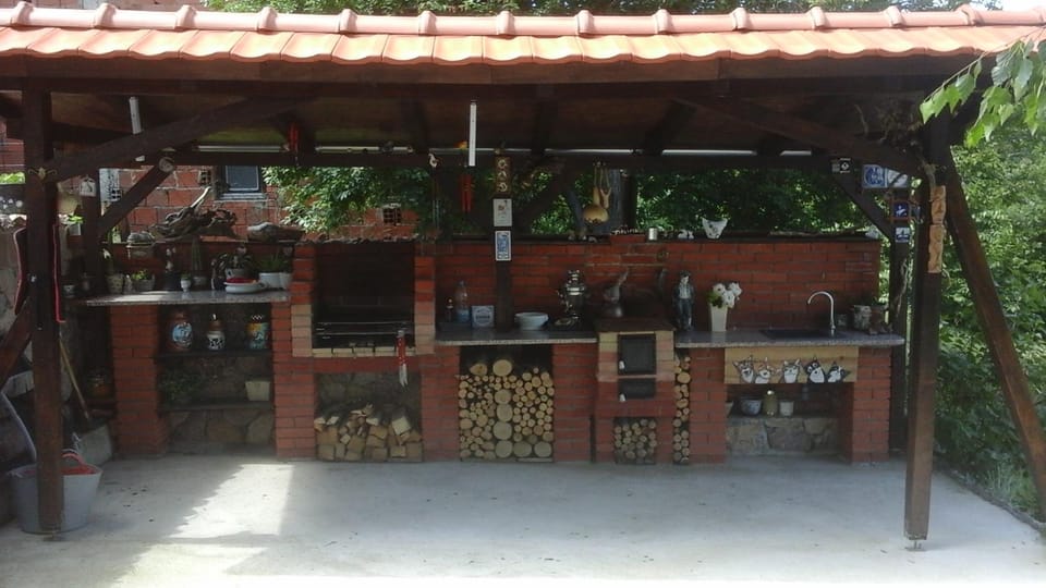 Apartment Cats Apartment in Serbia