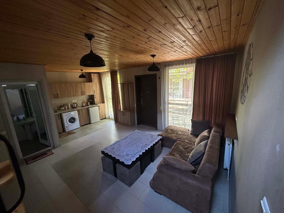 Levani's Cottage Apartment in Georgia