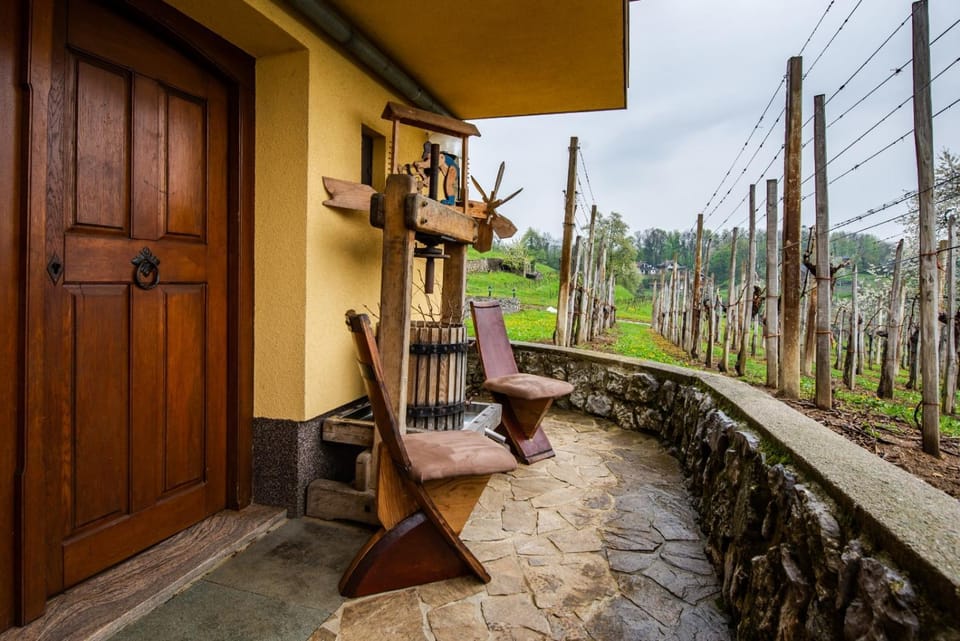 Patio, Facade/entrance, Garden