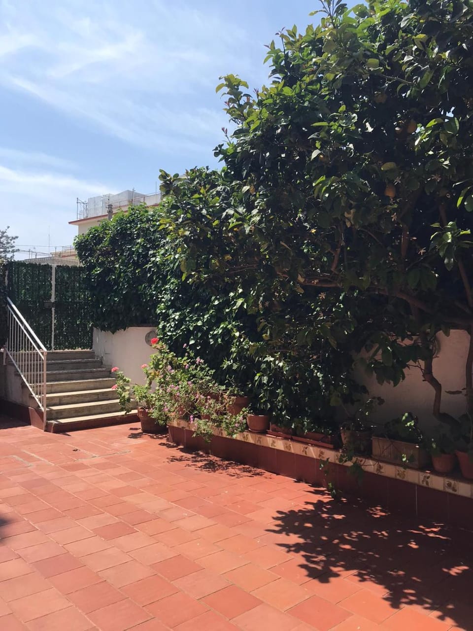 Property building, Garden view